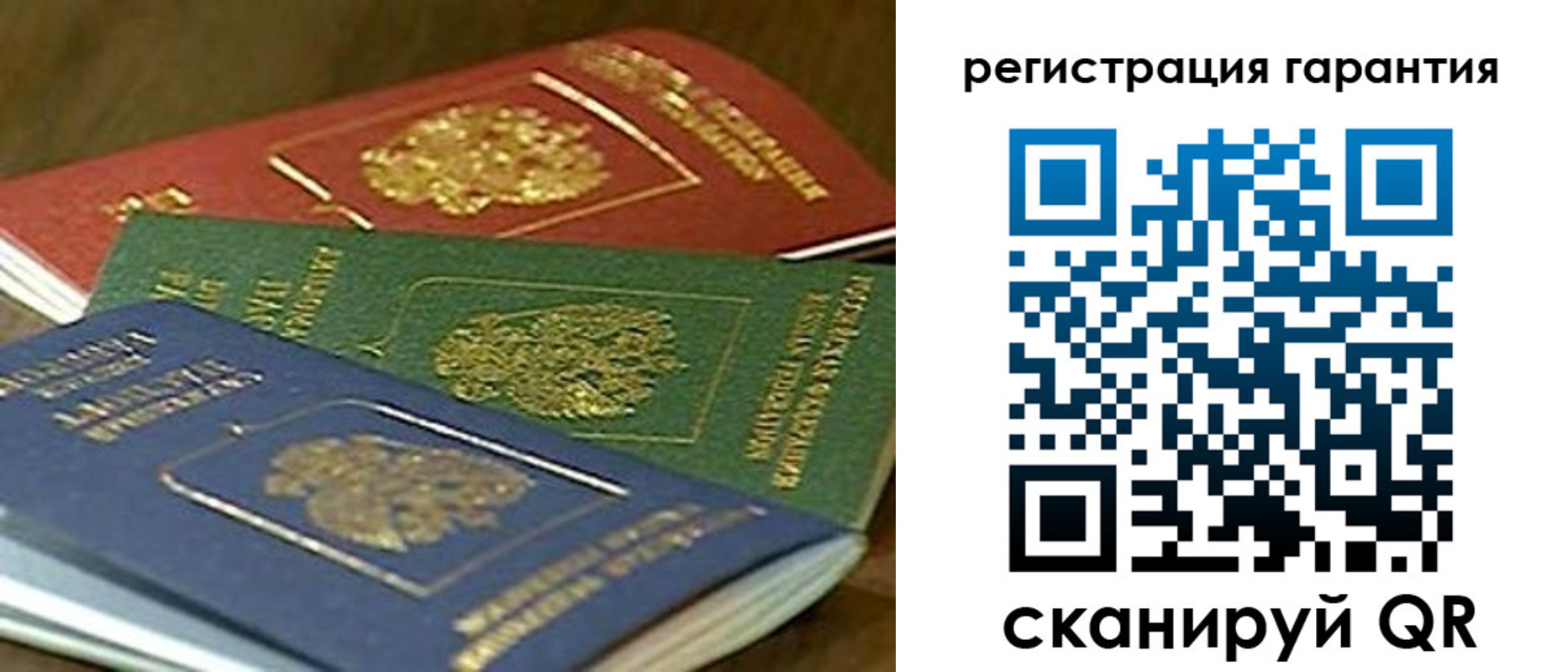 прописка иностранных граждан в Александровске